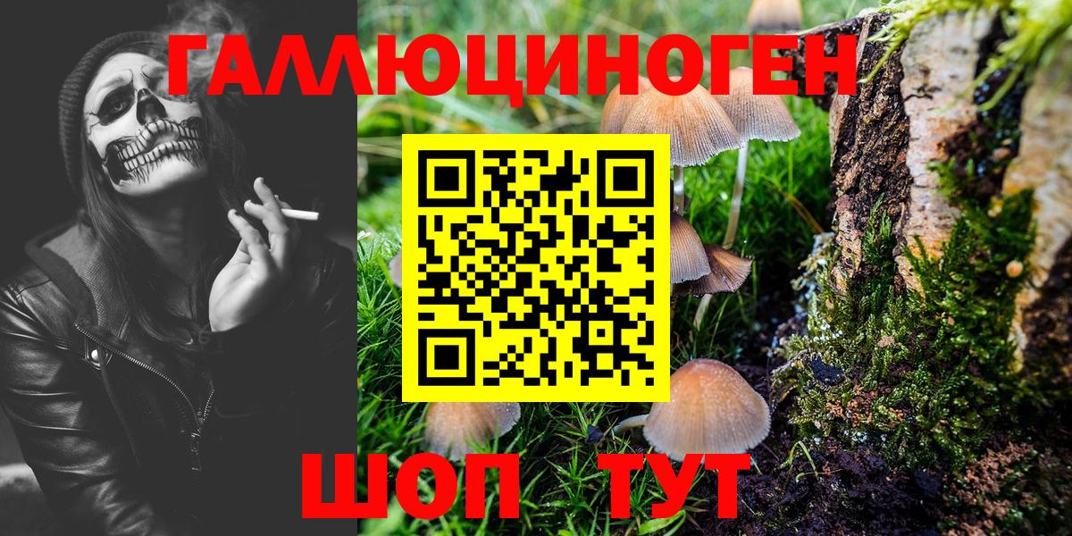 Лабинск  Псилоцибиновые грибы Psilocybe  Вход с VPN 